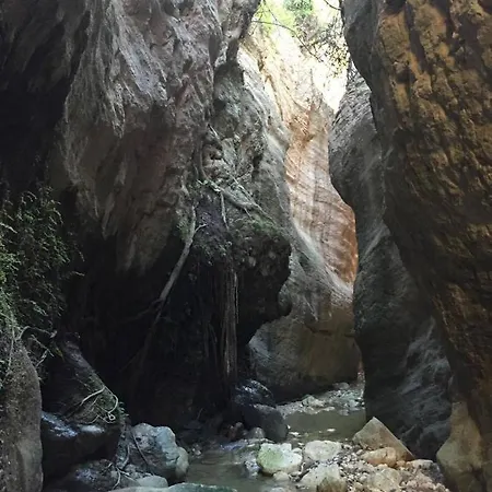 Διαμέρισμα Elysia Park Miris *