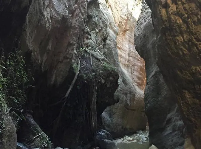 Daire Elysia Park Miris *